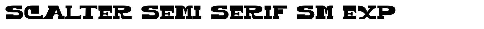 Scalter Semi Serif Sm Exp image